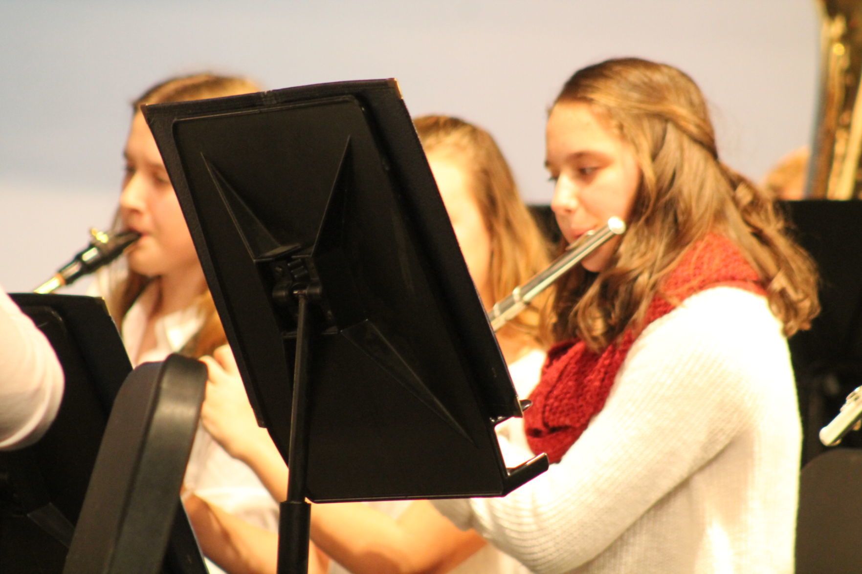 BDHS bands 014.JPG